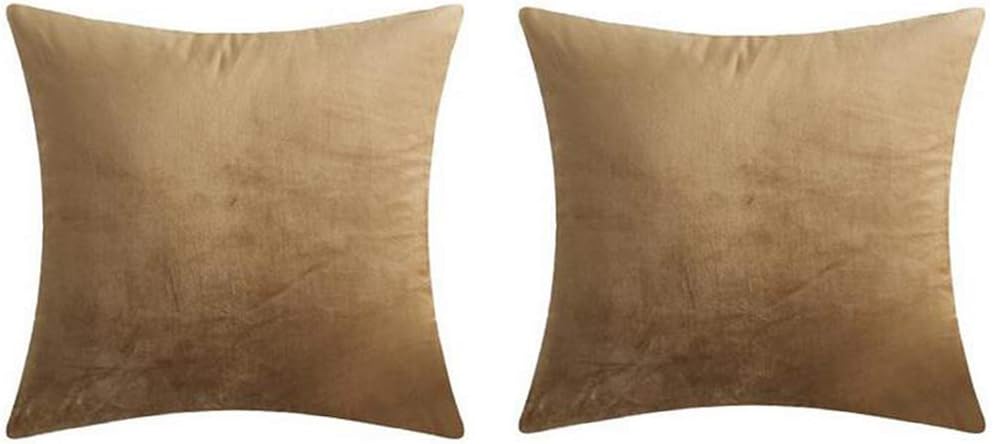 QINU KEONU 2PCS Solid Velvet Sofa Comfortable Decorative Throw Pillow Covers Cushion Case for Sofa Room 18 inches Both Sides Same Color (Light Coffee)
