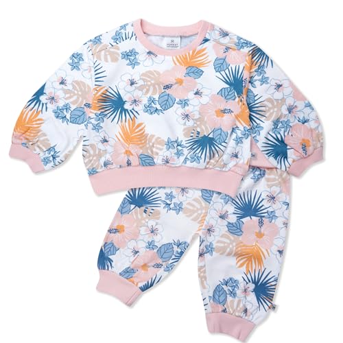 HonestBaby 2-Pack Crewneck Sweatshirt and Sweatpant Set 100% Orga...