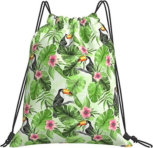 [ESASAV] IInV q̗t  В [ e h y ܂ [obO GRobO В j ^ s AEghA