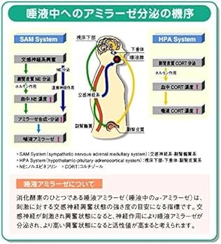 NIPRO 酵素分析装置　唾液アミラーゼモニター チップ3本付 新品電池２個付 唾液アミラーゼ測定｜唾液アミラーゼ測定｜医薬品・医療機器のニプロ