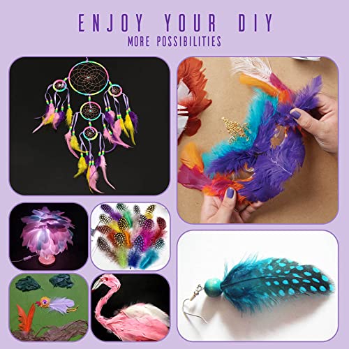 Colorful Natural Feathers For Crafts Diy Wedding Party Decoration 300 Pcs #TOP4