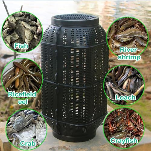 Trampa para cangrejos en agua salada y dulce con caja capturadora 5