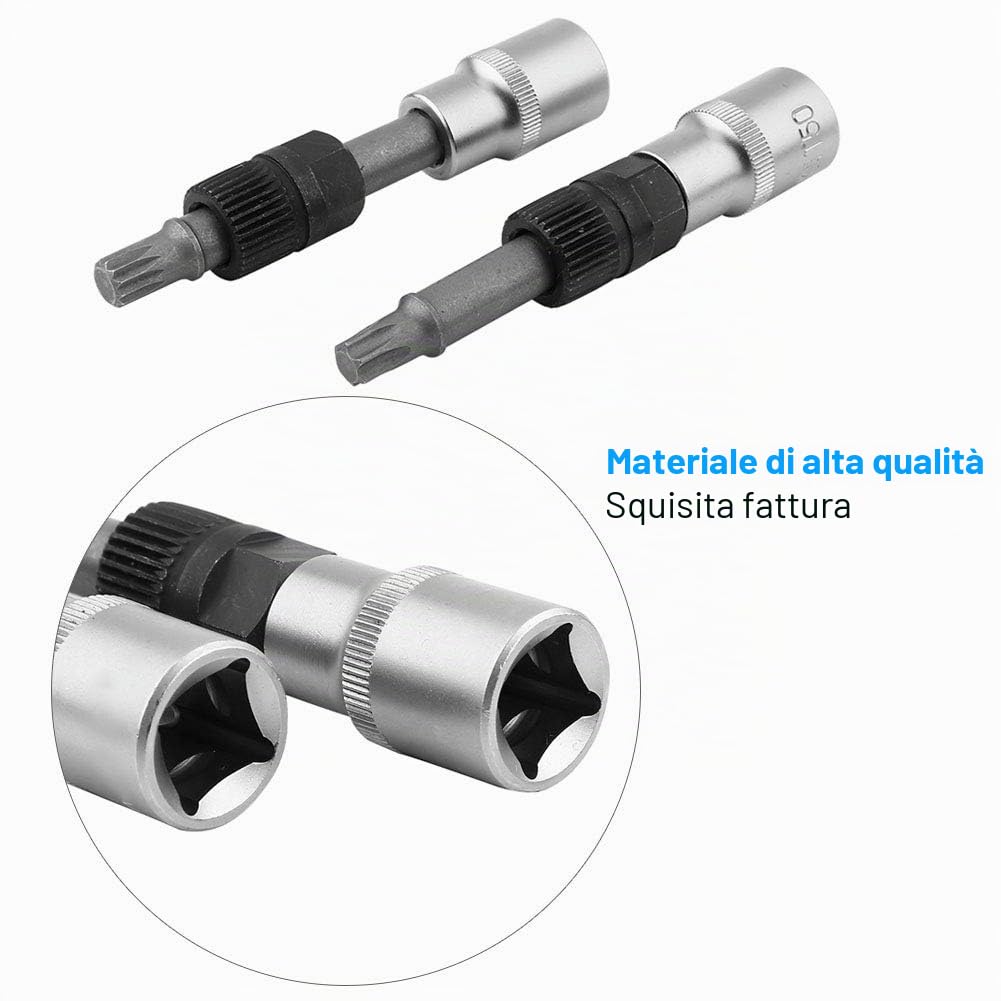 Set Attrezzi per Alternatore 13 Pezzi, Set di Chiavi a Bussola per Cambio, Adattatore per Fissaggio e Montaggio Puleggia a Ruota Libera