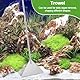 4 Stück Aquarium Aquascaping Tools, Edelstahl Aquarium Zubehör, Schere Und Pinzette für Wasserpflanzen Trimmen Aquascaping Reinigungs
