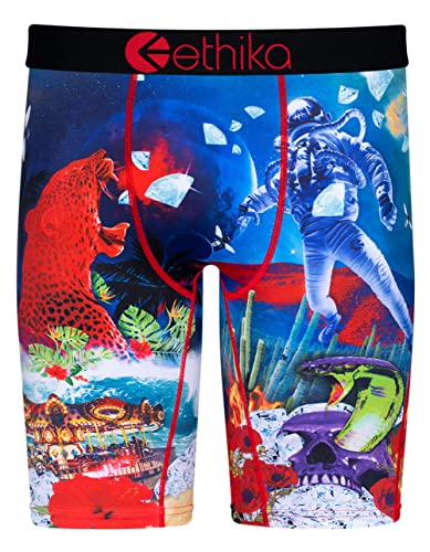 Ethika Mens Staple Boxer Brief | WTE Astro