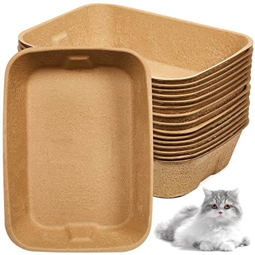 Paper Litter for Cats The 15 best products compared Wild Explained