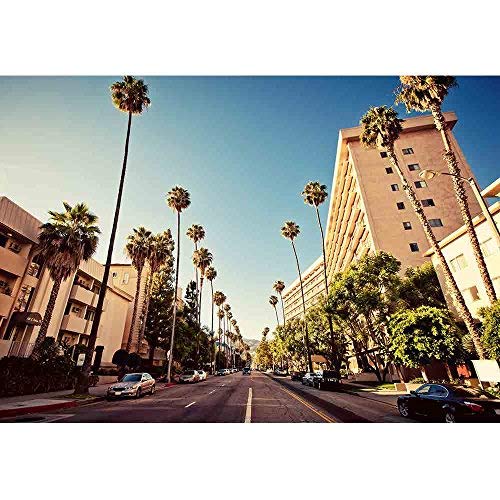 wall26 - Palm Streets of Beverly Hills - Removable Wall Mural | Self-Adhesive Large Wallpaper - 66x96 inches
