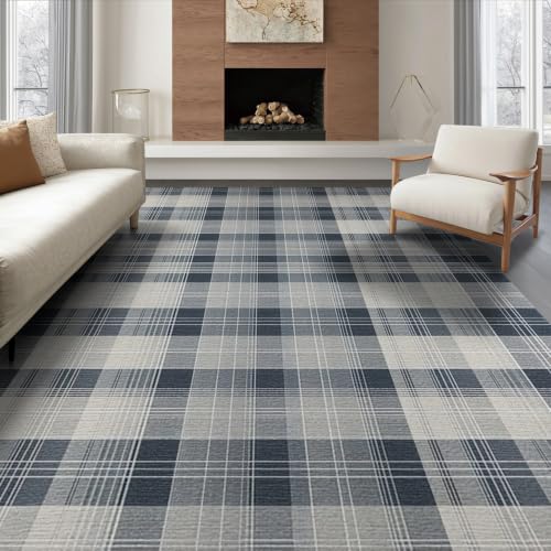 ODIKA Flatwoven High Traffic Area Rug 8x10, Performance Area Rug in Aisha Grey with Abstract Plaid, Non Slip, Stain Resistant, Washable Area Rugs for Living Room, Bedroom (Gray, 8x10)
