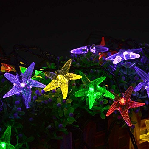 Luces solares decorativas de estrellas marinas 20ft 30 LED miniatura 6