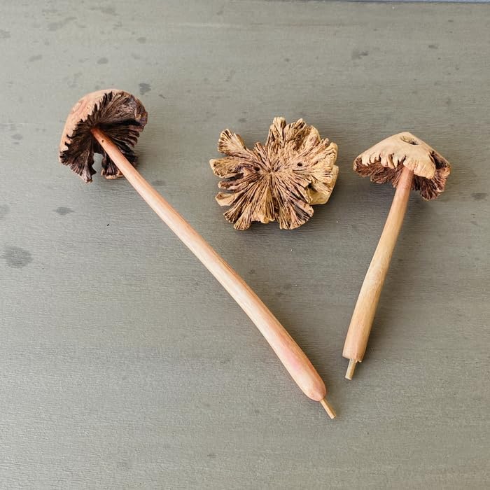 Amazon.co.jp: Mushきのこ キノコ オブジェ 置物 木のオブジェ