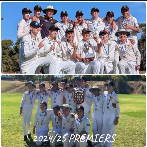 S2 E34 - Weekend Wrap - Premiers Baby!! Podcast Por  arte de portada