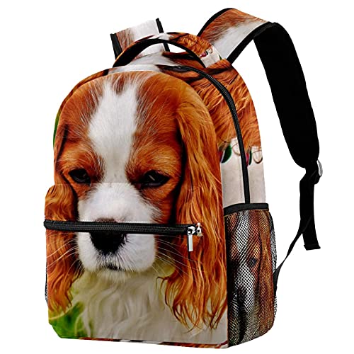 Sac à dos à poils longs avec porte-bouteille pratique pour voyage et loisirs