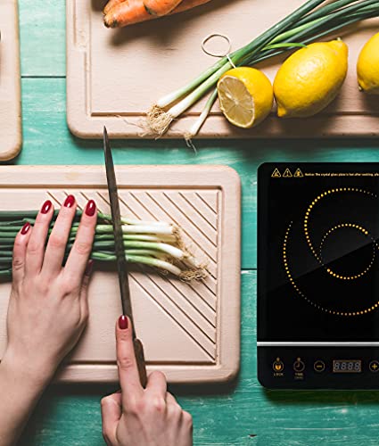 Rosewill 1800 Watt Induction Cooker Cooktop , Included 10' 3.5 Qt 18-8 Stainless Steel Pot, Gold, RHAI-16001