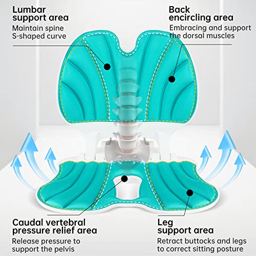 Mieta Ergonomic Chair Back Support,Lumbar Support For Good Posture Correction And Back Pain Relief, Floor Chair Adjustable Chair Foldable Seating Perfect For Office Chair, And Work From Home. #TOP1