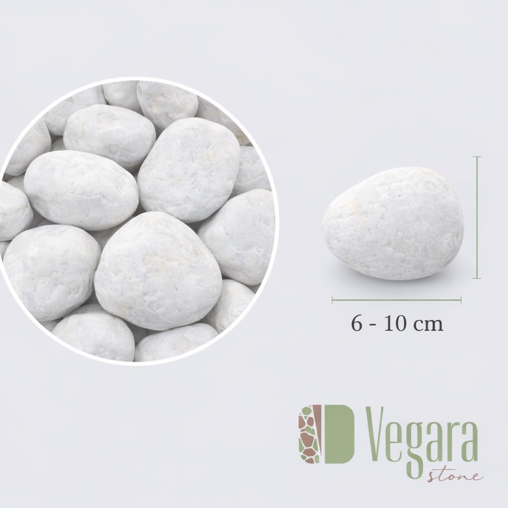 Piedra Jardín Decoración Canto Rodado Blanco Puro (25, 6-10 cm) vegara