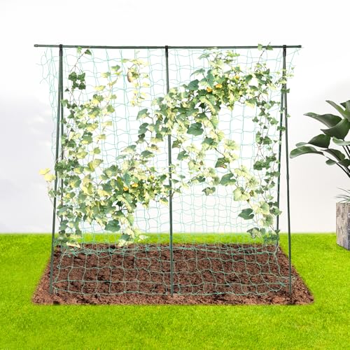 WEIGR Rankgitter Metall Edelstahl Rankhilfe Gurken Tomaten Himbeeren Bohnen Kürbis Spalier Kletterpflanzen Gurkenspalier Tomatenkäfig...