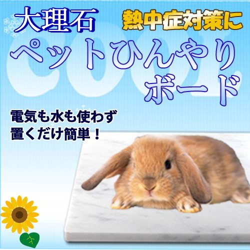 ウサギのおうちを快適に おススメ夏のひんやりグッズ７選 Keito Life