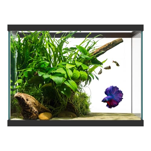 SubstrateSource 20 Gallon Glass Aquarium - 24 x 12.5 x 17.25 in - Large Clear Rectangular Rimmed Freshwater/Saltwater Fish Tank for Betta, Goldfish, Guppy, Shrimp for Home or Office Aquascaping