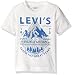 Levi's Boys' Jersey Graphic Tee