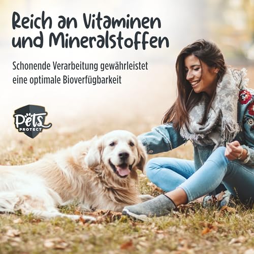 Pets Protect Veggie Snack 150 g | Vegane Leckerlis aus Gemüse & Früchten | Getreidefrei | Ohne künstliche Zusätze | Leckerli für große & kleine Hunde & Welpen | Deutsche Herstellung