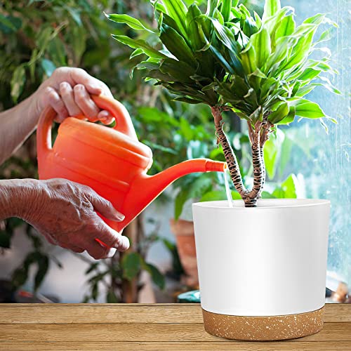 Demaciya 8 Inch Plant Pots, 2Pack Planters For Indoor Plants With Drainage Holes And Removable Base, Saucer Modern Decorative For Outdoor Garden Planters #TOP4