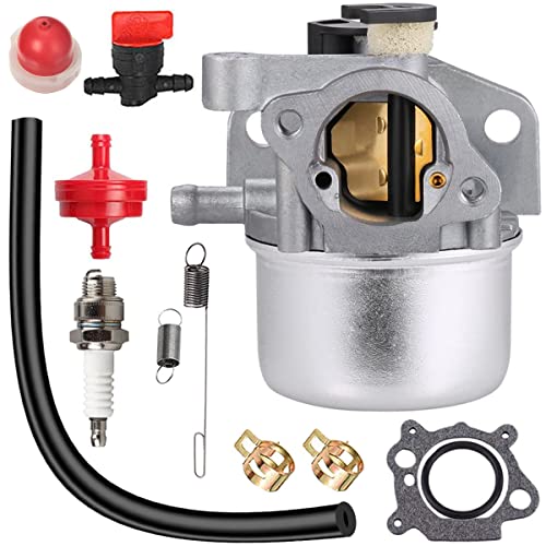 ZAMDOE 799866 Carburador para Briggs & Stratton 790845 799871 796707 794304 128L05 128L07 128M02 12H800 Cortacésped Motores de 4 ciclos, para Toro 22' Recycler cortacésped