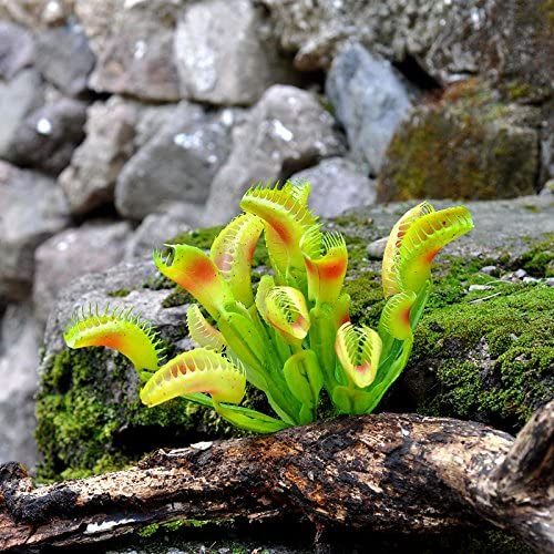 GlobalNiche® Artificial Carnivorous Grass Anti Mosquitoes Flies Grass