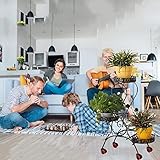 Zoom IMG-1 aflcio supporto per piante da Zoom IMG-1 aflcio supporto per piante da