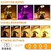 GooingTop LED Grow Light, Halo Plant Growing Lamp for Indoor Plants Growth, Full Spectrum Low Light for Small Plants,Timer 4/8/12/18 Hrs & Variable Spectrum White Red Blue,3 Pack