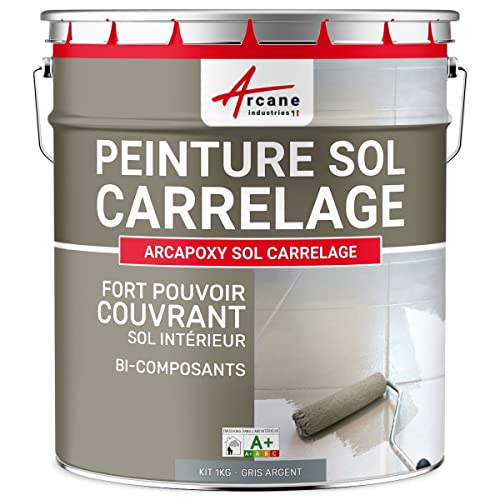ARCANE INDUSTRIES Peinture carrelage Sol, résine pour recouvrir faïence et Carreaux : Arcapoxy Sol carrelage - 1 kg (jusqu'à 5 m² en 2 Couches) Gris Argent - RAL 7001