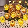 Decorative fairy turkey string lights novelty fall garland lights rope 8ft 20leds battery operated with remote for indoor decoration easter autumn christmas home bedroom party fall tree decor  urban country home decor