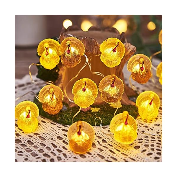 Decorative fairy turkey string lights novelty fall garland lights rope 8ft 20leds battery operated with remote for indoor decoration easter autumn christmas home bedroom party fall tree decor  urban country home decor