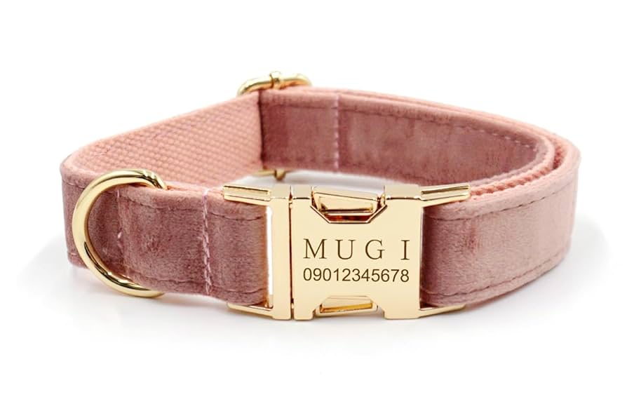 天然シェル(貝)の上品おしゃれな迷子札付首輪★裏面に電話番号も可★ 全21色】天然シェル(貝)の上品おしゃれな迷子札付首輪☆裏面に