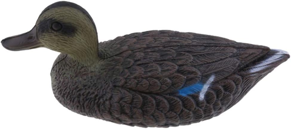 esca per anatra per stagno