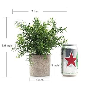 Velener Artificial Potted Rosemary Plants- Rustic Farmhouse Topiary Shrubs for Decoration Centerpieces Living Room, Shelf Bedroom Aesthetic Green Bathroom Accessories Boho Small Desk Plant Office Velener Artificial Potted Rosemary Plants Rustic Farmhouse Topiary Shrubs for Decoration Centerpieces Living Room Shelf Bedroom Aesthetic Green Bathroom Accessories Boho Small Desk Plant Office