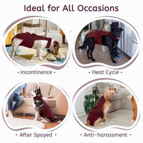 Image of Dog Diapers Female Reusable Washable Period Diaper with Suspender,Adjustable Dog Panties Anti-Harassment, Doggie Diapers for Incontinence, Heat Cycles, or Senior Dogs(XS-XL