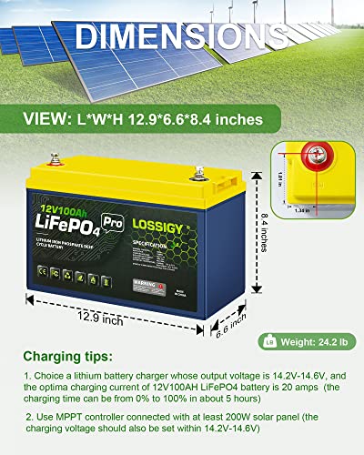 Lossigy 12V 100Ah Lifepo4 Deep Cycle Lithium Iron Battery, 1280Wh Power Supply Built-In 100A Bms, Perfect For Golf Cart, Trolling Motor, Marine, Rv, Solar System #TOP3