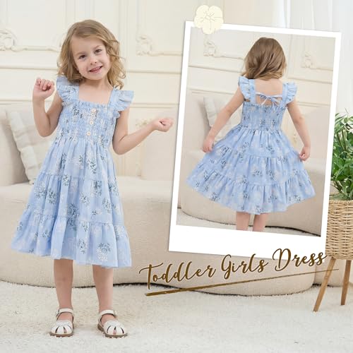 HONGTEYA Toddler Girl Dress Ruffle Sleeveless Princess Dresses, Summer Dress Beach Sundress (US, Age, 18 Months, 24 Months, Blue Daisy) — view 2