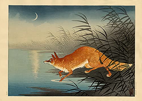 Amazon.co.jp: 小原 古邨 版画 月夜の池辺の狐 56x38cm 大判