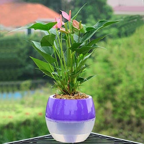 Mkono 5 Pack Self Watering Planter Plastic Flower Pot 4 Inch (Mixed Colors)