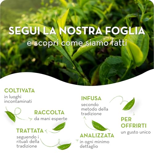 Estathé Limone, 330 ml, Confezione da 24 - 7