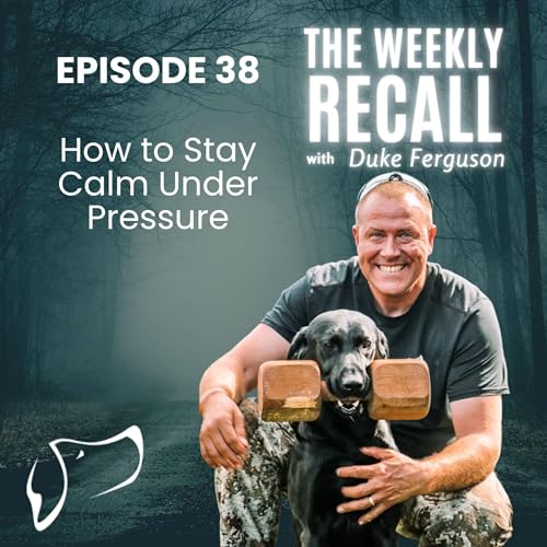 #38 How to Stay Calm Under Pressure