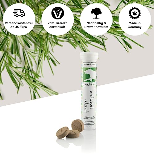 CaniMove enteral akut, bei und nach akuten Durchfällen von Hunden und Katzen sowie bei akuten Resorptionsstörungen, Urlauben, Medikamentengabe oder Stress-Situationen (12 Tabletten a 5 Gramm)