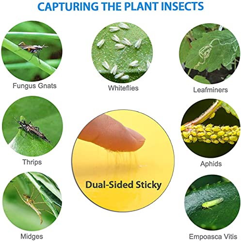 Hgslwft 5 Count Sticky White Fly Trap (Pack Of 5) #TOP4
