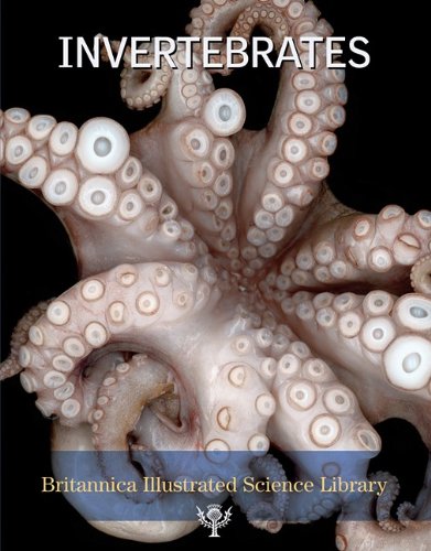  Invertebrates