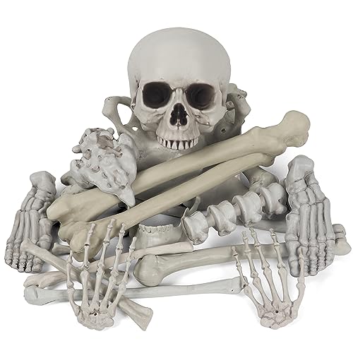 MOKRY PARTY Bag of Bones Halloween Life Size Skeleton Skull for Decoration and Spooky Graveyard 28...