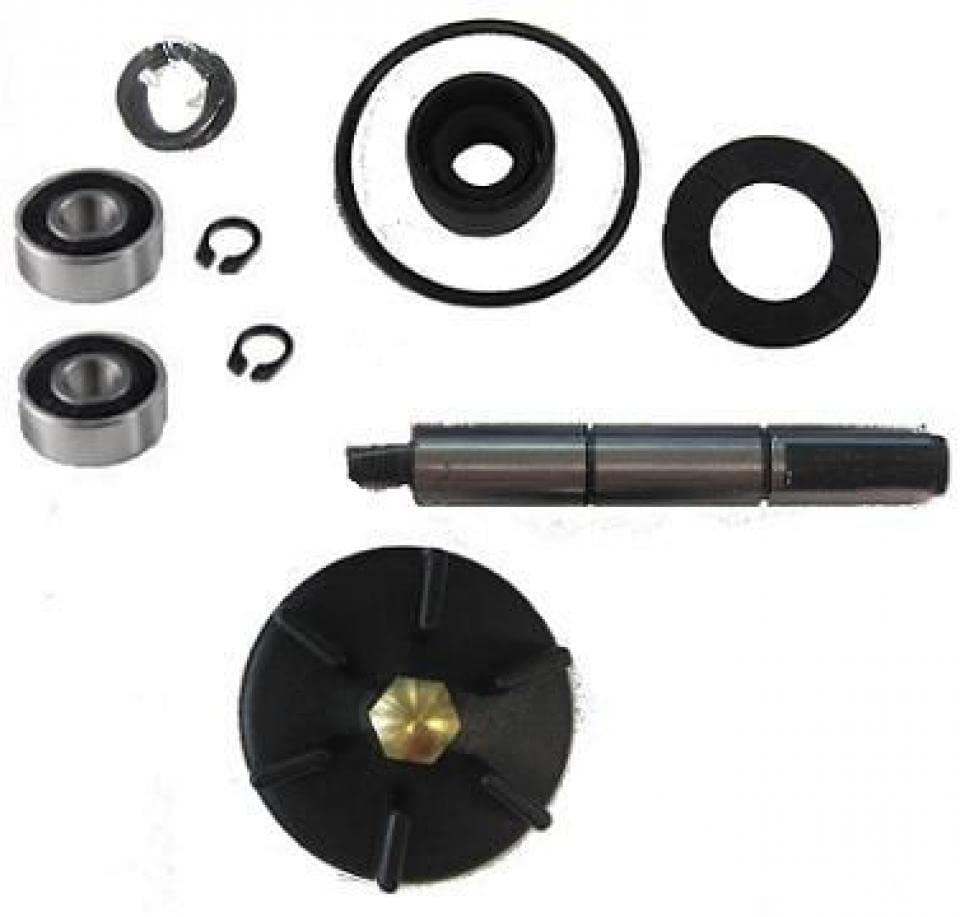 Bomba de agua KYOTO para scooter Gilera 50 DNA y pinza Grimeca 2001-2006 2