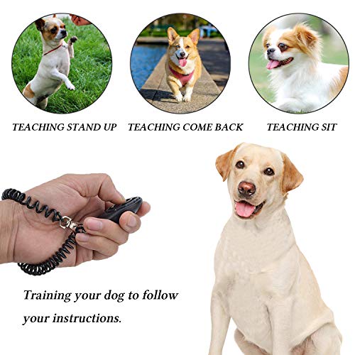 Stmk Dog Training Kit, Dog Treat Pouch, Puppy Training Treat Pouch, Dog Collapsible Bowl, Dog Whistle, Dog Clicker, Ideal For Dog Walking, Dog Training, Puppy Training (Grey) #TOP5