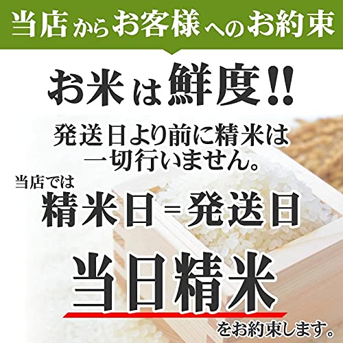 Amazon.co.jp: 令和7年 岩手県産 銀河のしずく 玄米 10kg×3袋 : 食品