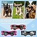 Fohuanky Hundebrille für kleine und mittelgroße Rassen, verstellbare Haustier-Sonnenbrille mit UV-Schutz, Hundebrille für Reisen, Wandern, Outdoor-Spaß (Schwarz, S)